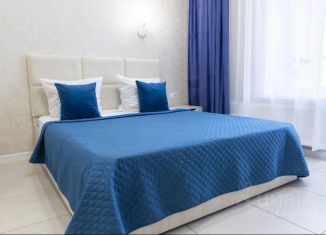 Однокомнатная квартира в аренду, 31 м2, Барнаул, улица Профинтерна, 28А