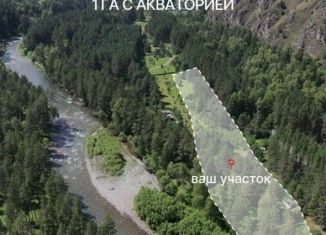 Продажа участка, 100 сот., Республика Алтай