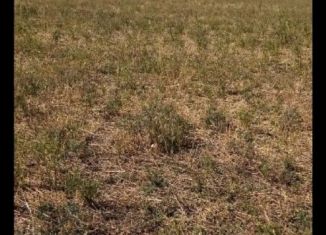 Продажа участка, 10 сот., село Дружба