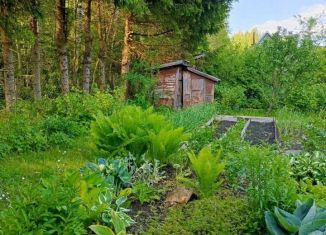 Продается дом, 30 м2, СНТ Черняковицы-2, СНТ Черняковицы-2, 114