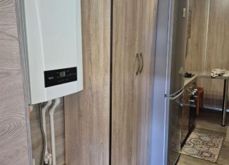 Продажа 1-ком. квартиры, 40 м2, Димитровград, улица Хмельницкого, 166