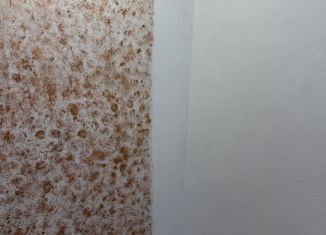 Продается комната, 20.1 м2, Ставропольский край, проспект Кулакова, 47/5