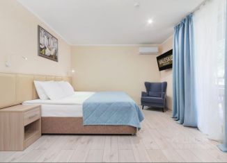 Аренда комнаты, 28 м2, деревня Григорчиково, деревня Григорчиково, 2
