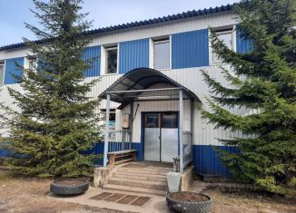 Сдача в аренду склада, 34 м2, Ленинградская область, Гаражный проезд, 3