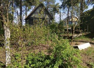 Продажа дома, 60 м2, Ленинградская область, 3-й Цветущий проезд, 84