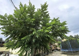 Продается дом, 130 м2, Иркутская область