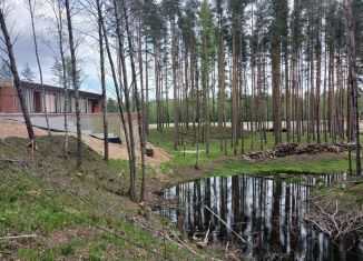 Продам земельный участок, 28 сот., деревня Сярьги