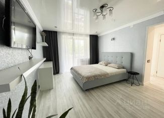 1-ком. квартира в аренду, 40 м2, Ковров, Запольная улица, 30