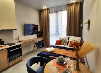 Сдается квартира студия, 22 м2, Москва, улица Родченко, 2, ЮАО
