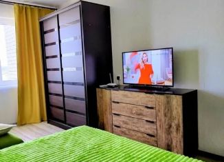 Сдается 1-ком. квартира, 35 м2, Владимирская область, улица Маршала Устинова, 3