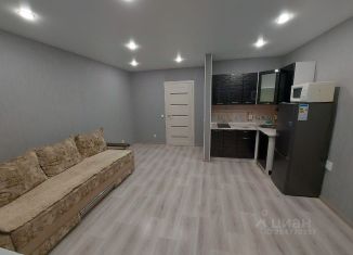 Сдача в аренду квартиры студии, 27.9 м2, село Чигири, улица Василенко, 1/5