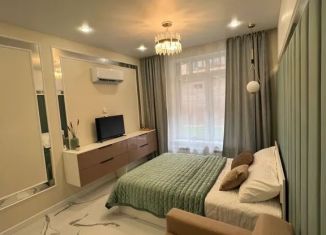Сдается квартира студия, 24 м2, Тульская область, проспект Ленина, 66Ак2