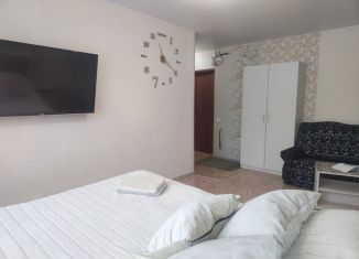 Сдается в аренду 1-комнатная квартира, 30 м2, Муром, улица Льва Толстого, 55
