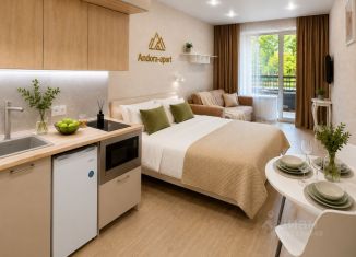 Сдается в аренду квартира студия, 30 м2, Новосибирск, Центральный район