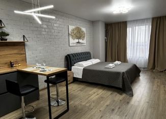 Квартира в аренду студия, 36 м2, Челябинская область, улица Энгельса, 4