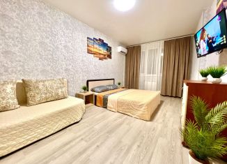 Сдается в аренду 1-комнатная квартира, 50 м2, Самарская область, проспект Карла Маркса, 242