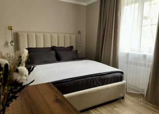 Сдается 2-комнатная квартира, 42 м2, Ставрополь, улица Семашко, 14/1, микрорайон № 22