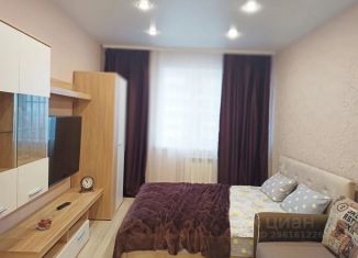 Сдам однокомнатную квартиру, 50 м2, Тула, проспект Ленина, 134
