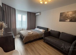 Сдам в аренду однокомнатную квартиру, 40 м2, Воронеж, улица Конструкторов, 29Ак2