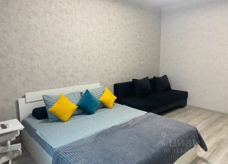 Сдам однокомнатную квартиру, 37 м2, Тверь, бульвар Гусева, 59