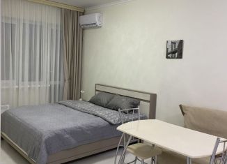 Продаю квартиру студию, 30 м2, Краснодарский край, улица Лукоморья, 4