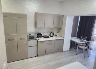 Сдам в аренду однокомнатную квартиру, 26 м2, 