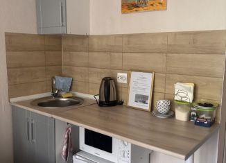 Сдача в аренду квартиры студии, 20 м2, Казань, улица Абсалямова, 29