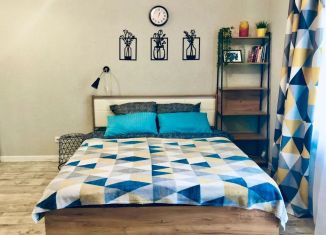 Квартира в аренду студия, 26 м2, Северодвинск, улица Карла Маркса, 78