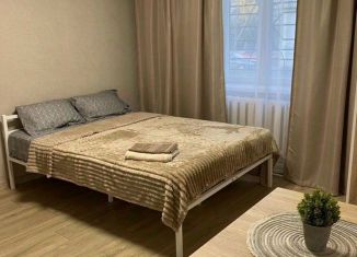 Сдается в аренду однокомнатная квартира, 24 м2, Алтайский край, 2-й микрорайон, 12