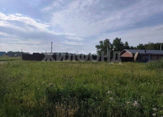 Продажа участка, 587 сот., Новосибирская область
