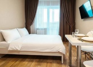 Сдача в аренду 1-ком. квартиры, 24 м2, Алтайский край, проспект Строителей, 18