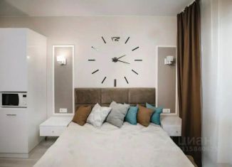 Сдается однокомнатная квартира, 28 м2, Барнаул, проспект Строителей, 18