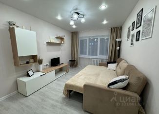 Аренда двухкомнатной квартиры, 45 м2, Тульская область, Пушкинский проезд, 4Б