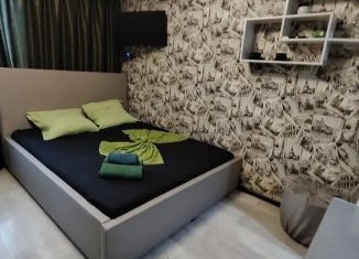 Сдам в аренду квартиру студию, 15 м2, Саратовская область, улица Менделеева, 1