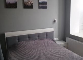 Сдам 1-комнатную квартиру, 43 м2, Таганрог, Донской переулок, 45