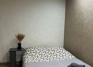 Сдается однокомнатная квартира, 30 м2, Мурманск, улица Марата, 6, Первомайский округ