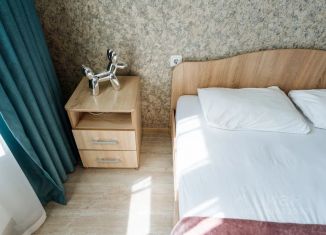 Сдача в аренду 1-комнатной квартиры, 36 м2, Уфа, бульвар Давлеткильдеева, 20