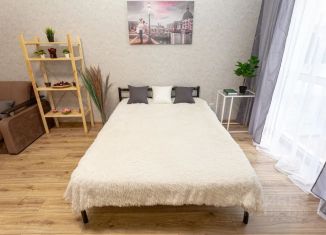 Сдам однокомнатную квартиру, 30 м2, Уфа, бульвар Давлеткильдеева, 18
