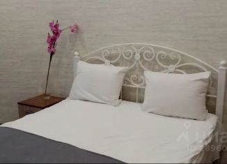 1-комнатная квартира в аренду, 30 м2, Воронеж, Московский проспект, 19