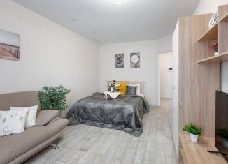 1-комнатная квартира в аренду, 48 м2, Самара, улица Соколова, 32, Октябрьский район