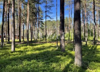 Продается участок, 25 сот., деревня Варшко, Сосновая улица, 3