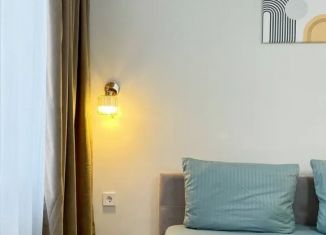 Сдача в аренду 1-комнатной квартиры, 35 м2, Уфа, улица Пархоменко, 151/2, Советский район