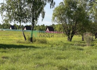 Продажа земельного участка, 320 сот., деревня Ильино