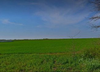 Продаю земельный участок, 50 сот., село Орехово