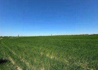 Участок на продажу, 61 сот., село Кринички