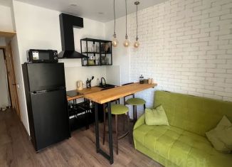 Аренда 1-комнатной квартиры, 30 м2, Сочи, улица Искры, 66/9к6