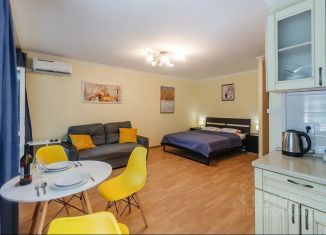 Квартира в аренду студия, 30 м2, Самара, Полевая улица, 7, метро Алабинская
