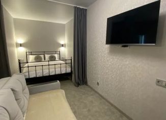 Сдам 1-комнатную квартиру, 34 м2, Самара, проспект Ленина, 1, Октябрьский район