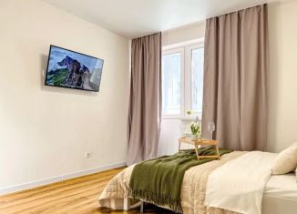 Сдам в аренду 1-ком. квартиру, 45 м2, Самара, проспект Карла Маркса, 246, метро Советская