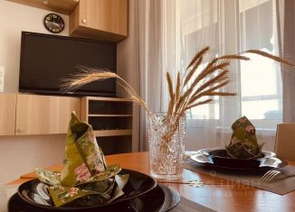 Сдам 1-комнатную квартиру, 33 м2, Кудрово, проспект Строителей, 20